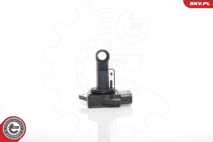 Mass Air Flow Sensor